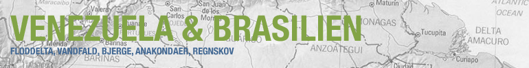 Venezuela & Brasilien