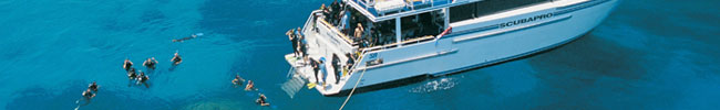 Dive group Dive group