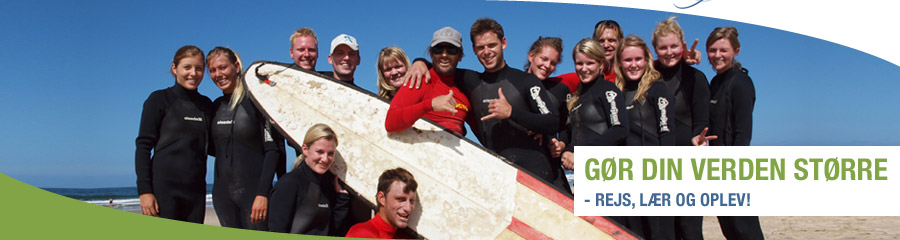 Surfing