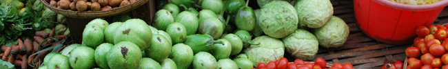 Uge 4