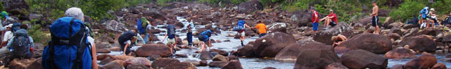 Roraima