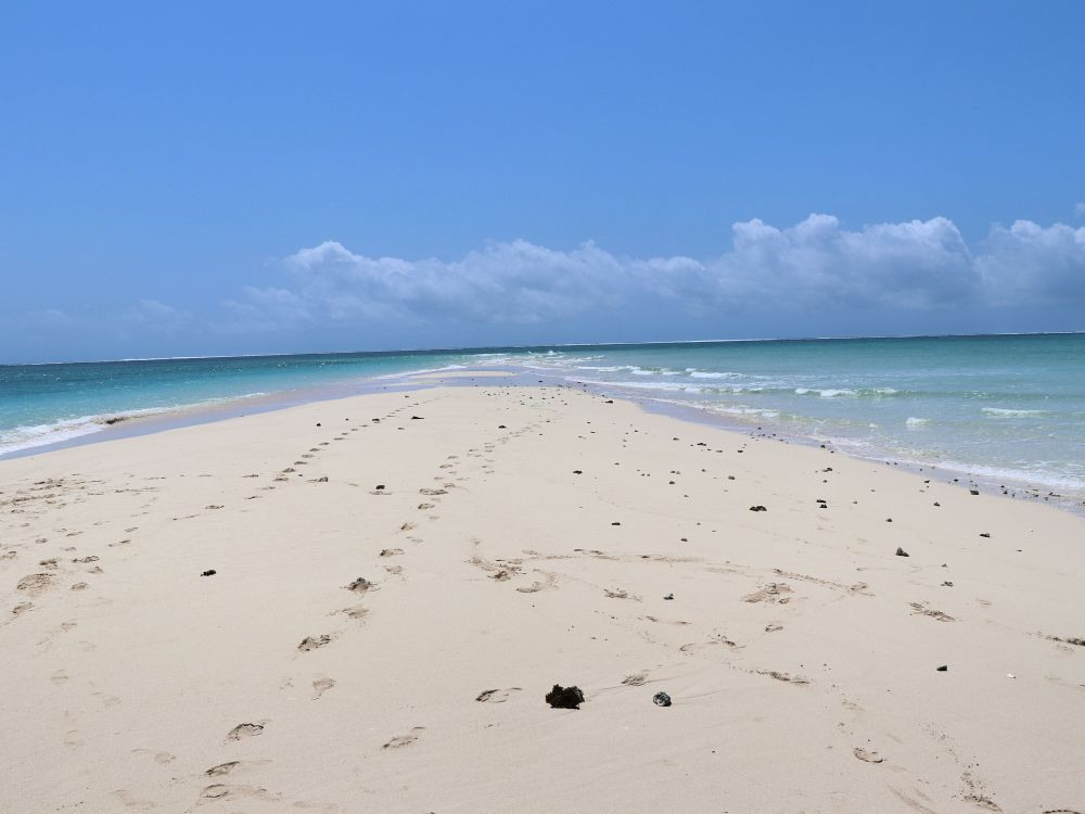 Besøg en sandbanke på Zanzibar