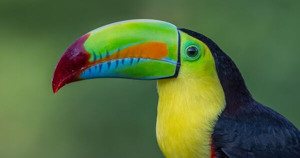 Mauritius