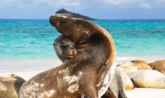 Galapagos Islands & Ecuador