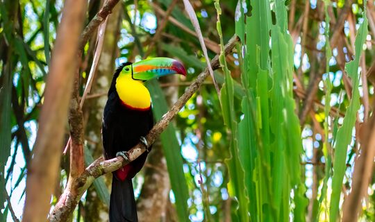 Costa Rica 