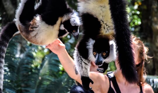 Madagaskar, Botswana & Victoria Falls