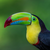 Rejs i sabbatår og ferie til Nord- og Mellemamerika