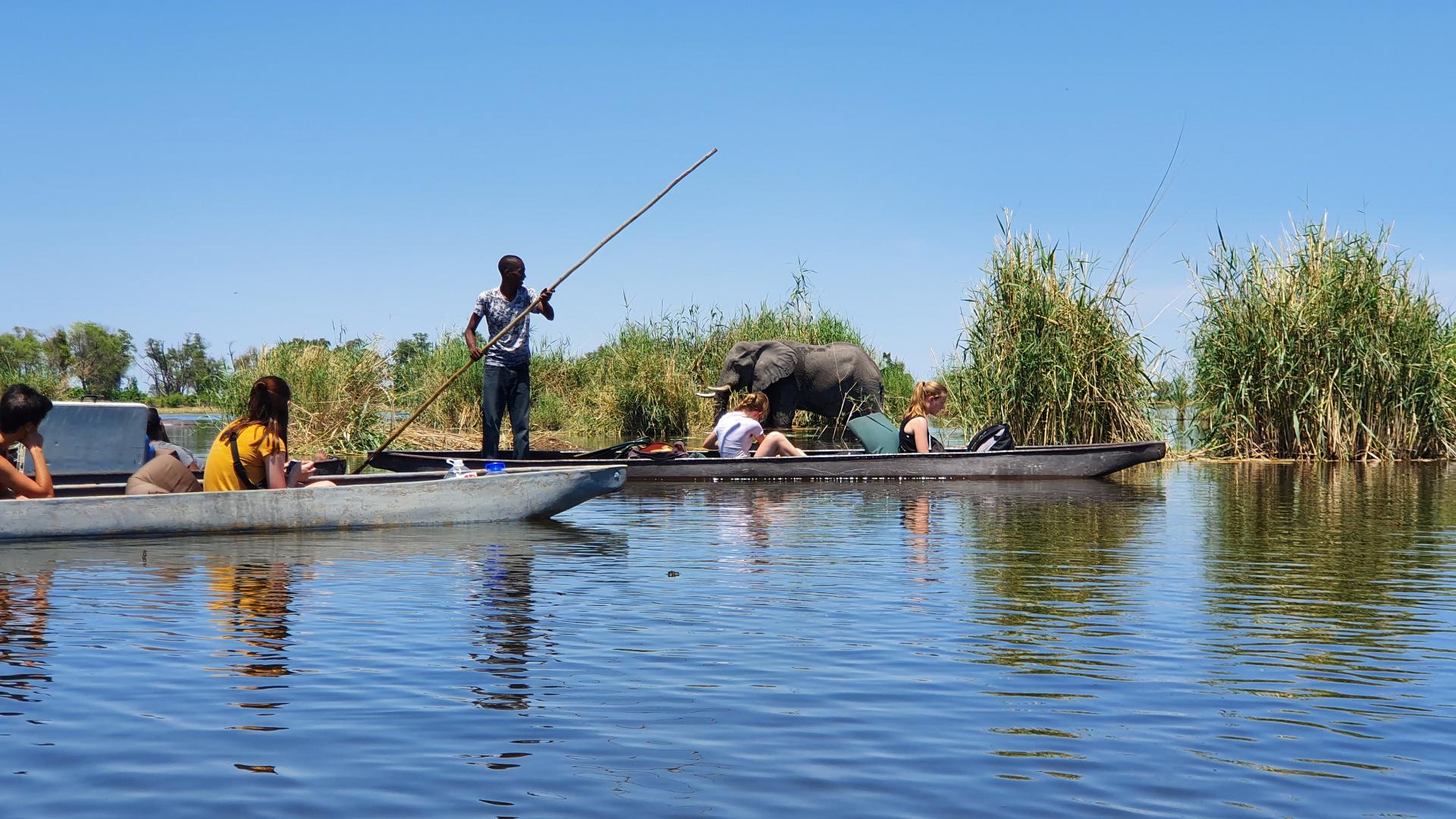 Safari Okavango delta