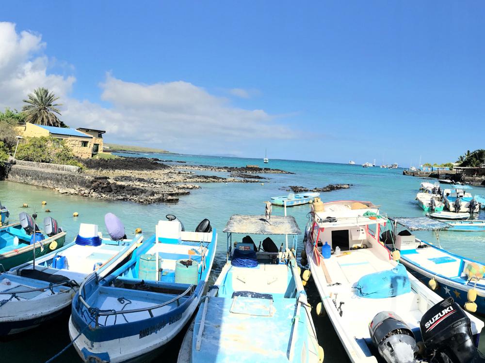 Havn på Galapagos 