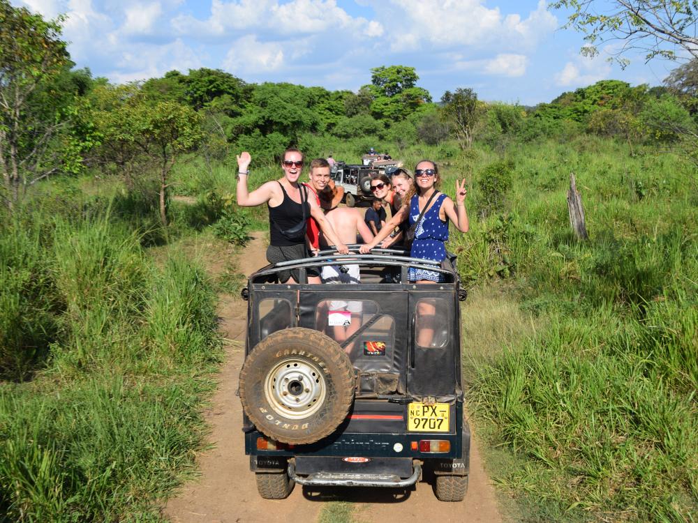 Elefant safari