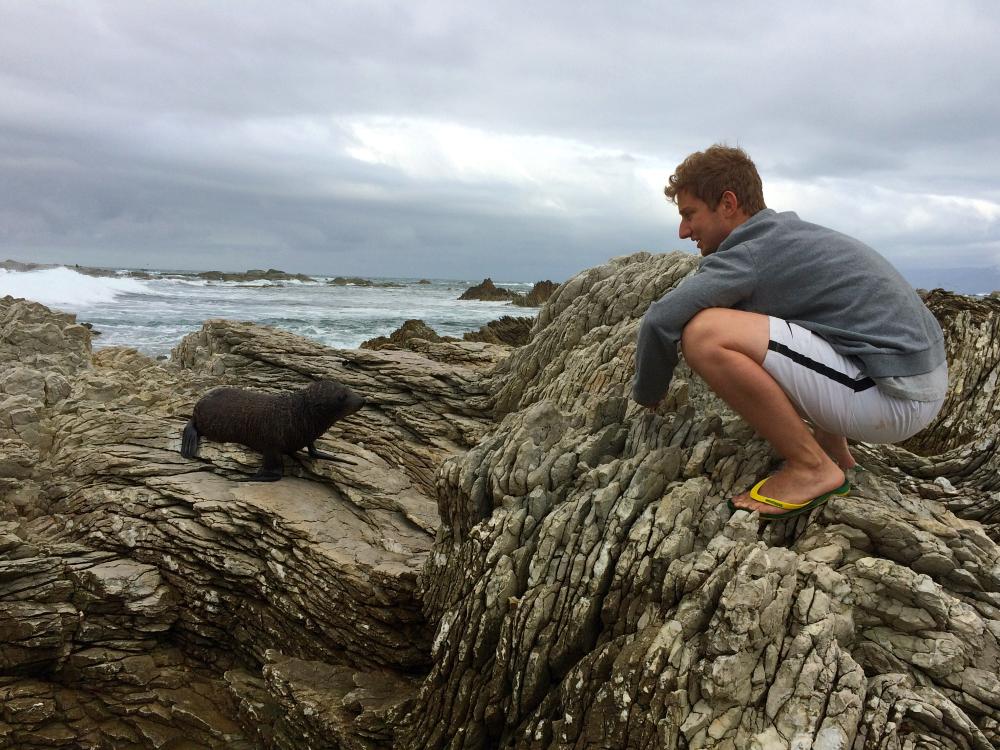 New Zealand North and South