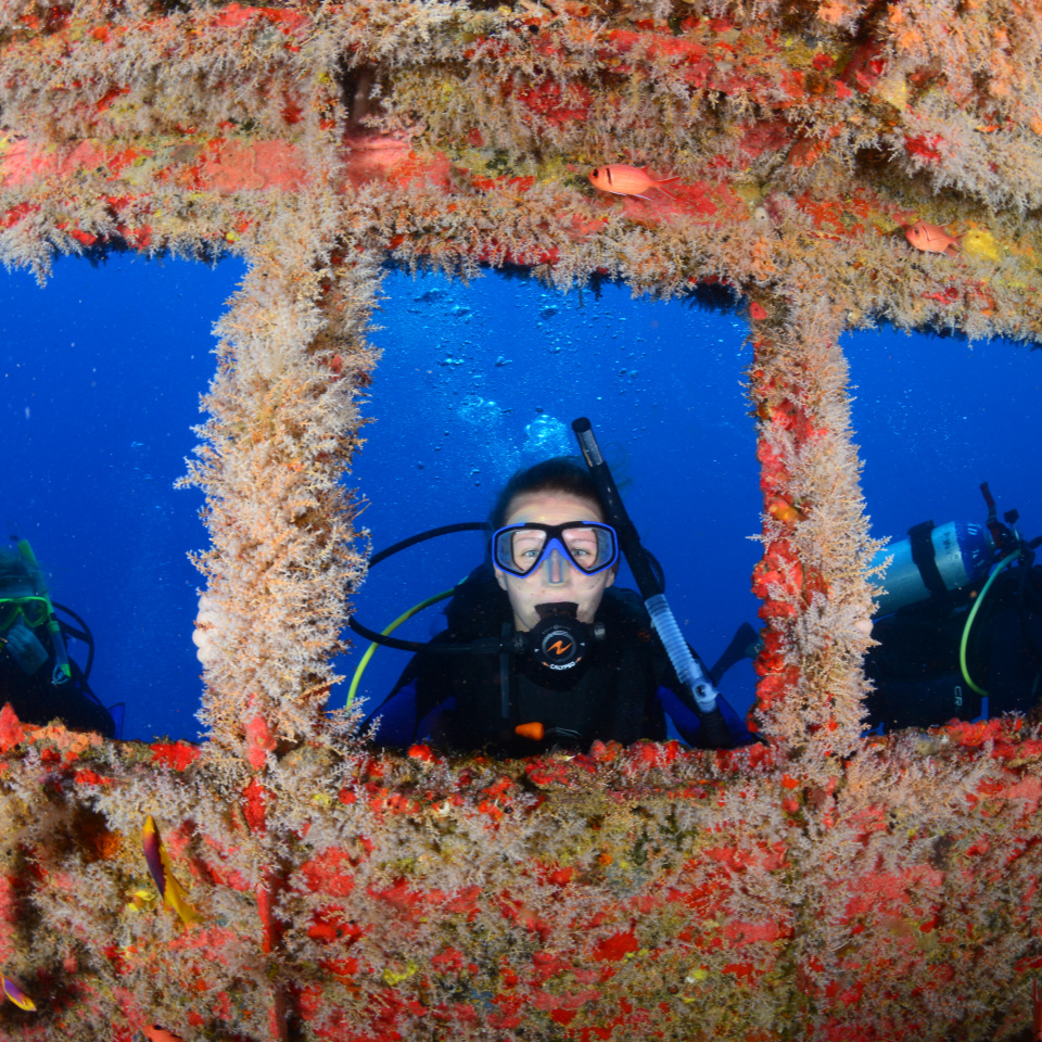 7 dykkerspots du bør besøge