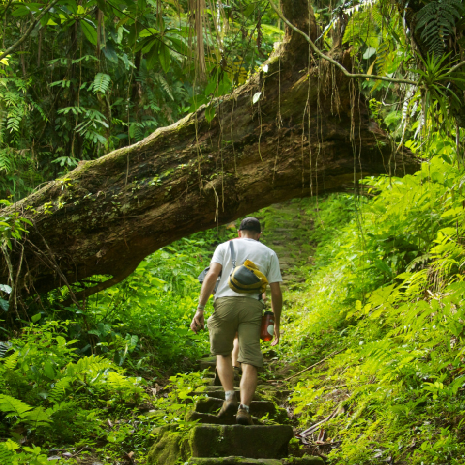 De 7 smukkeste og mest udfordrende trekkingture