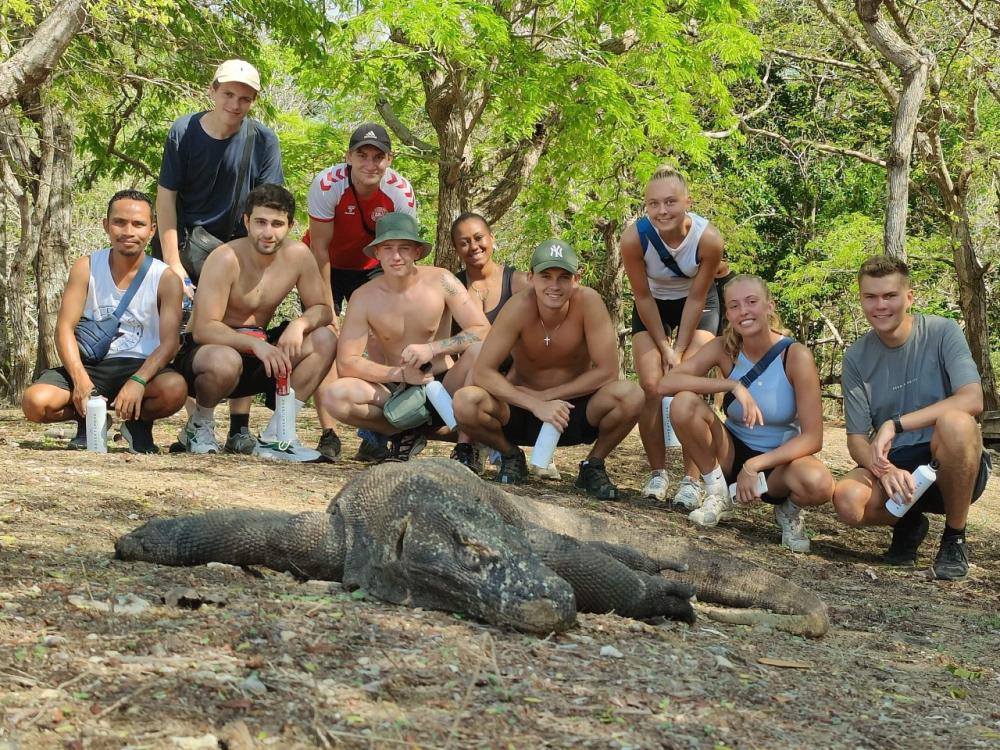 Komodovaran helt tæt på