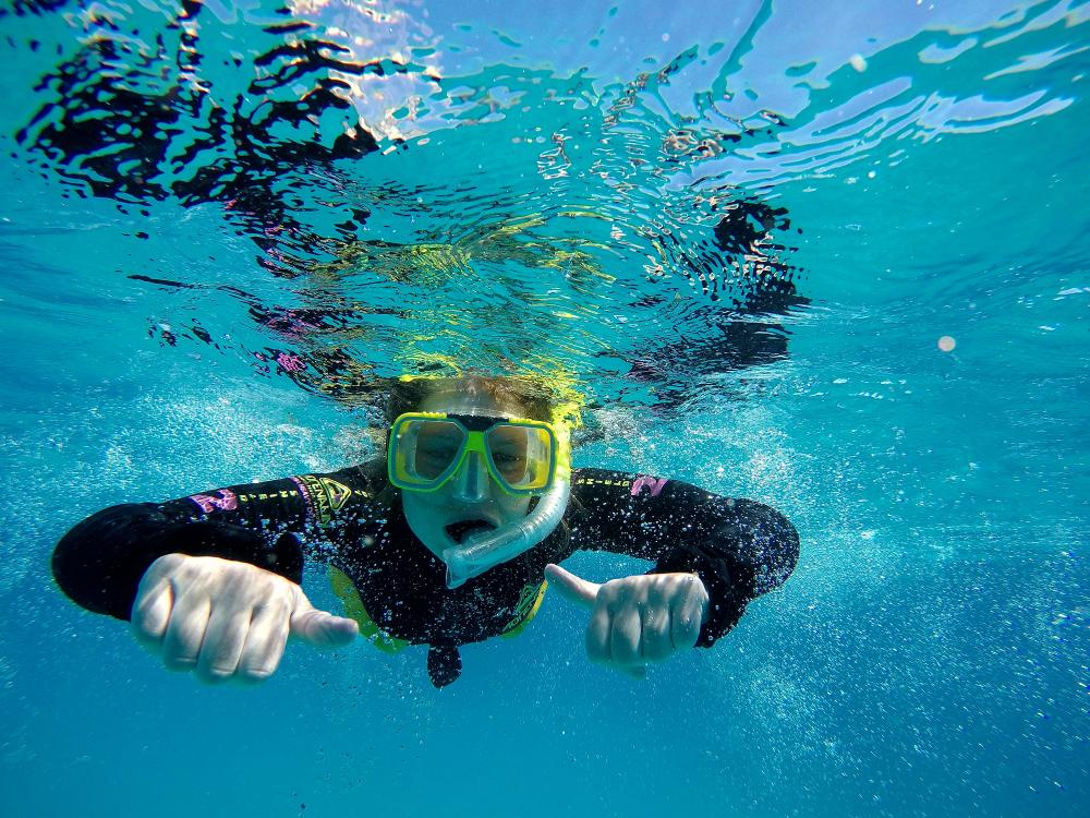 Snorkling ved Great Barrier Reef