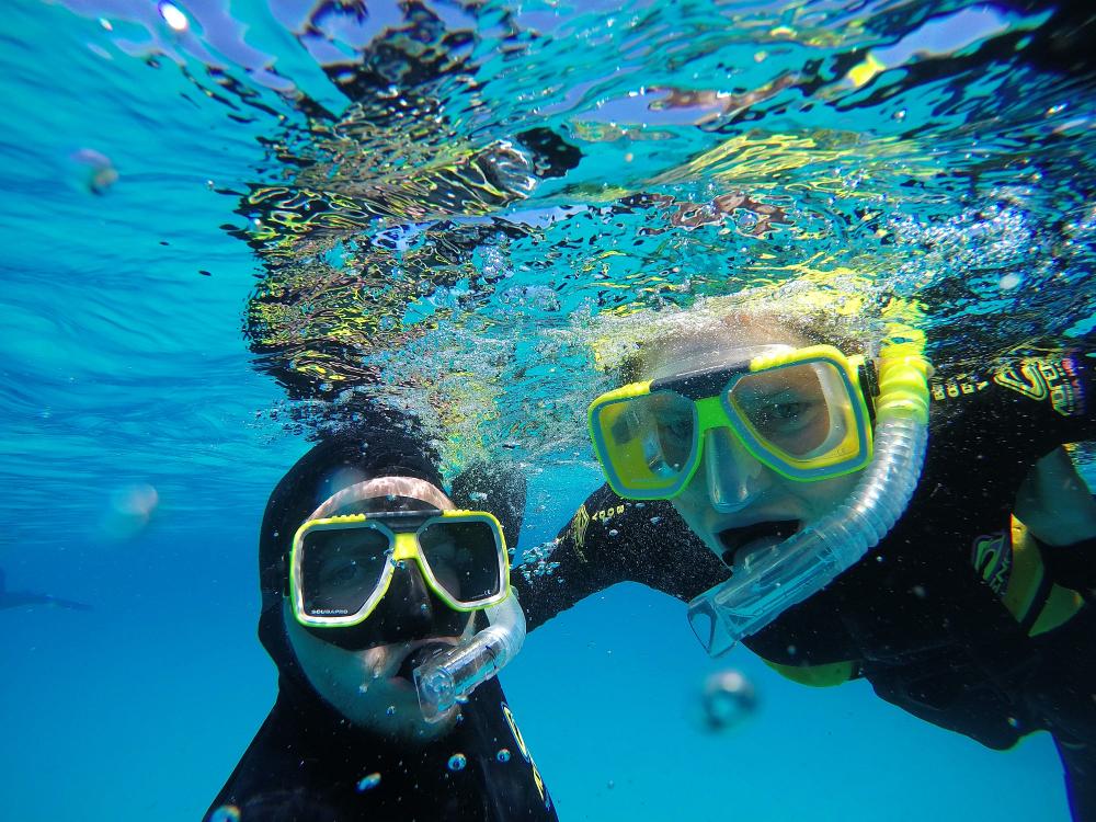 Snorkling ved Great Barrier Reef 