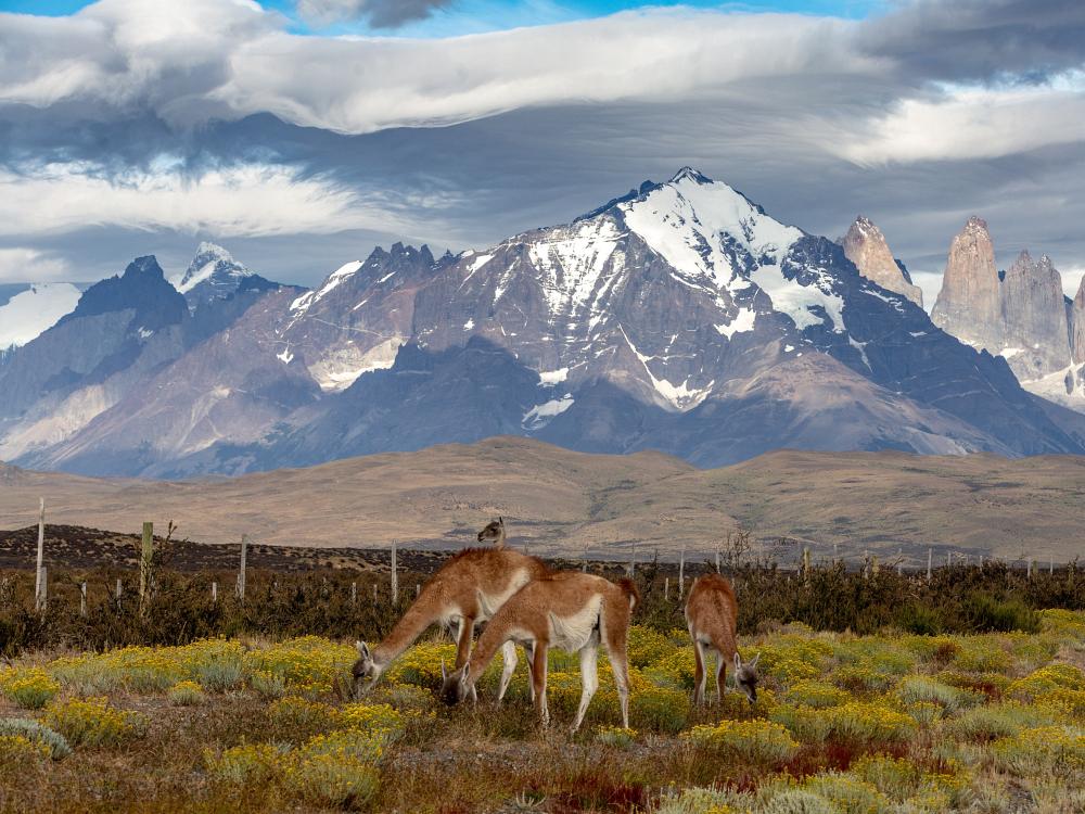 Bjergudsigt Patagonien 