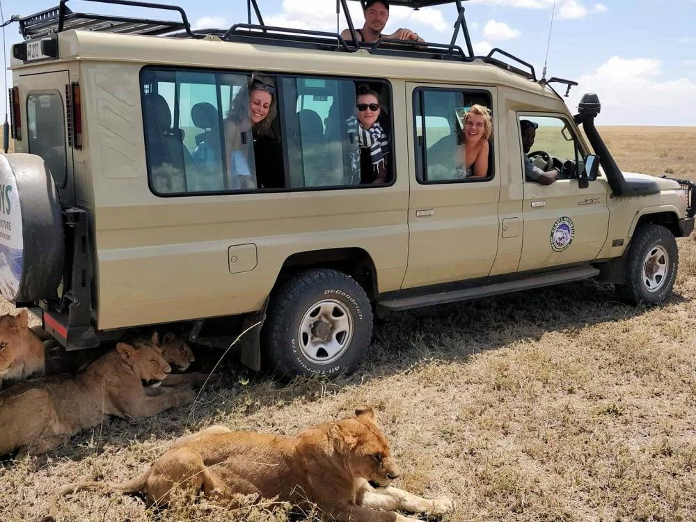 Safari i Serengeti 