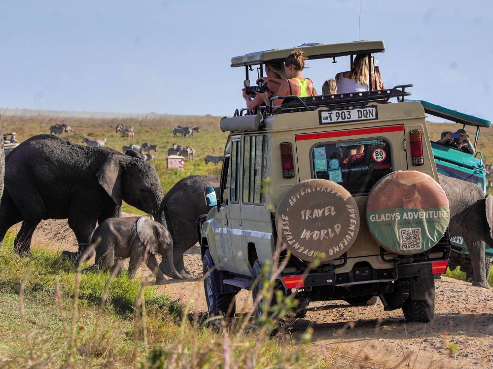 Safari i Serengeti 