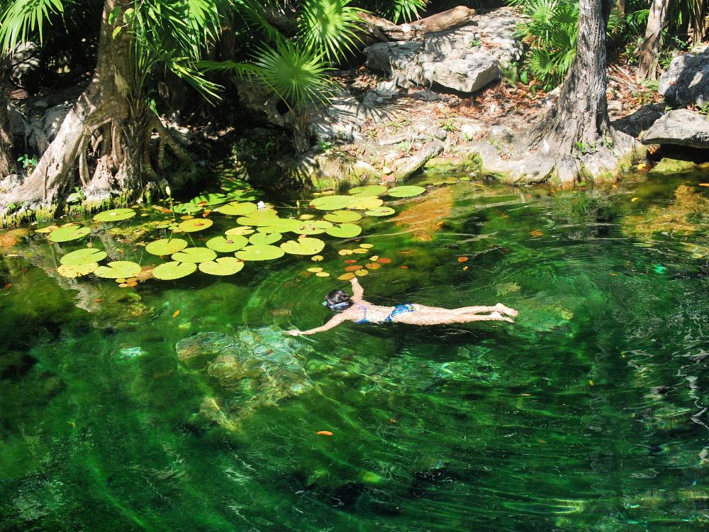 Snorkling i en kølig cenote