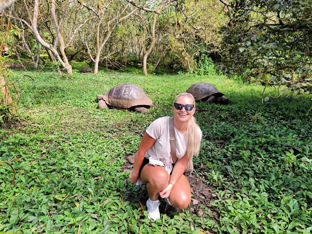 Kæmpeskildpadder på Galapagos