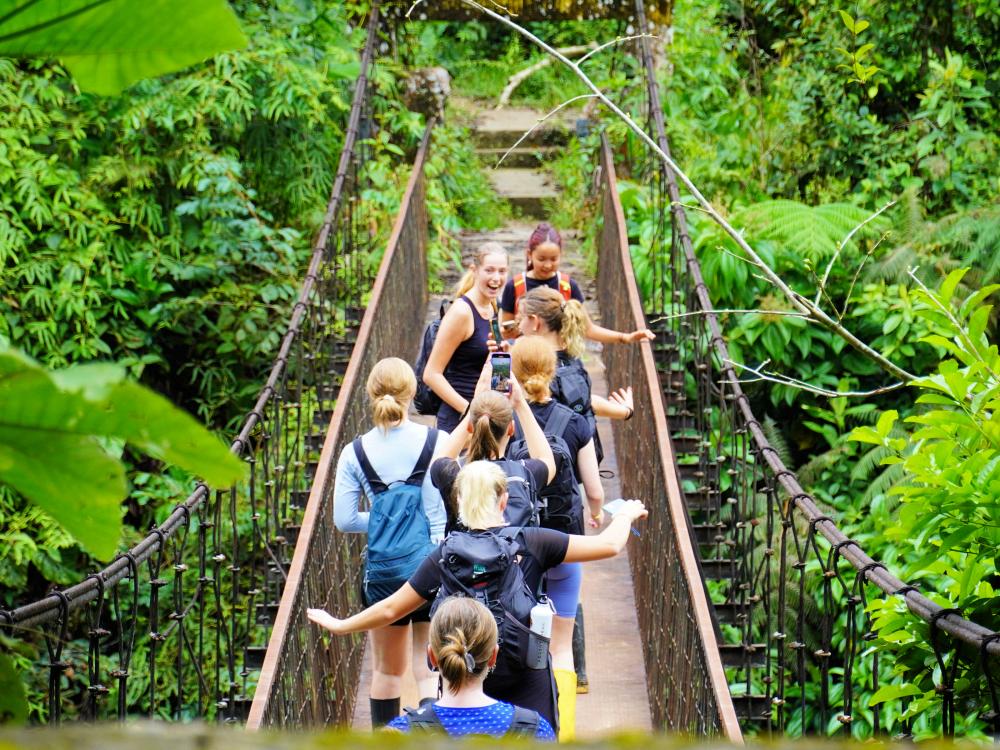 På vej over hængebro i junglen
