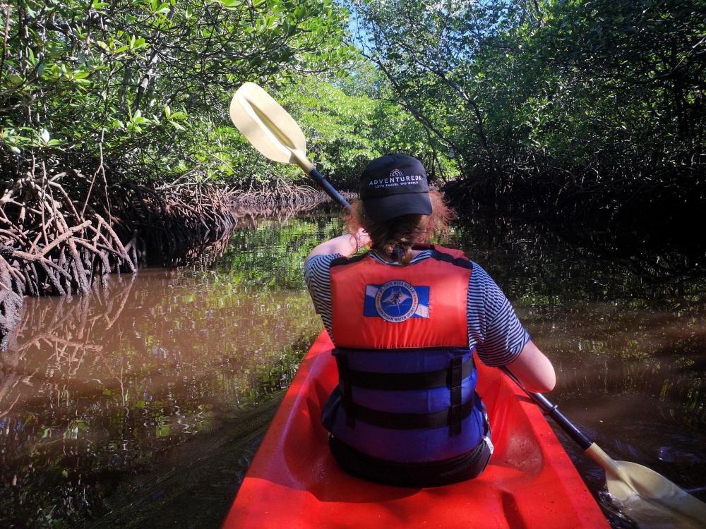 Kajaktur i mangroveskov