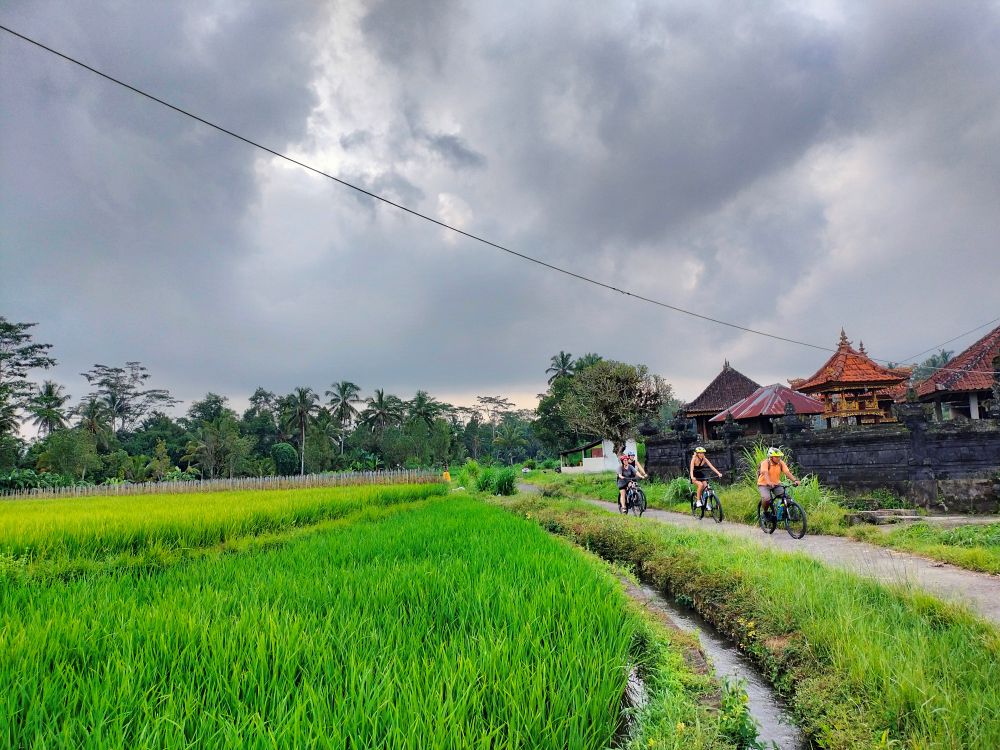 Cykeltur ved smukke Ubud