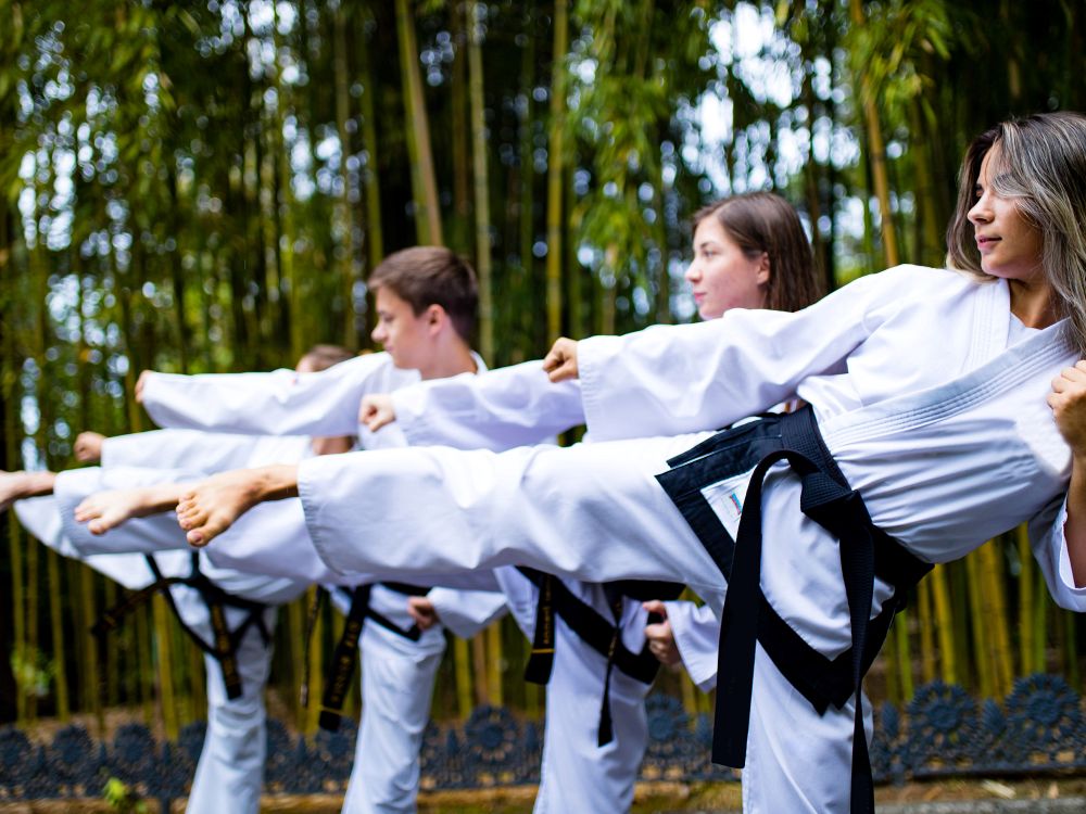 Taekwondo-lynkursus