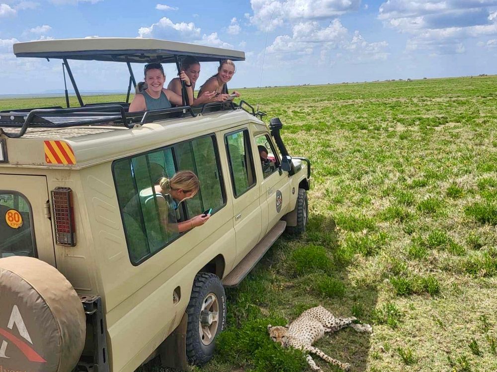 Safari i Ngorongoro-krateret