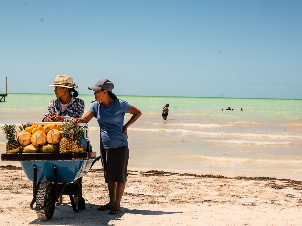 Friske kokosnødder på stranden