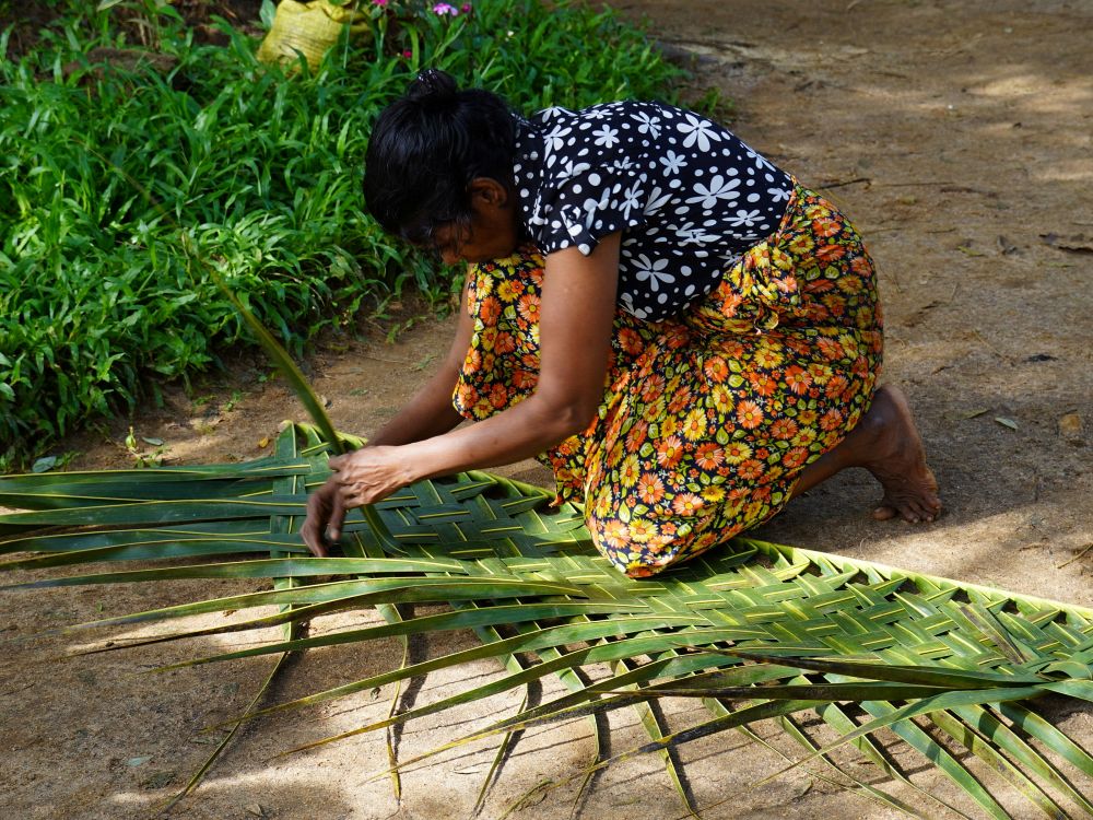 Oplev livet i en lokal landsby