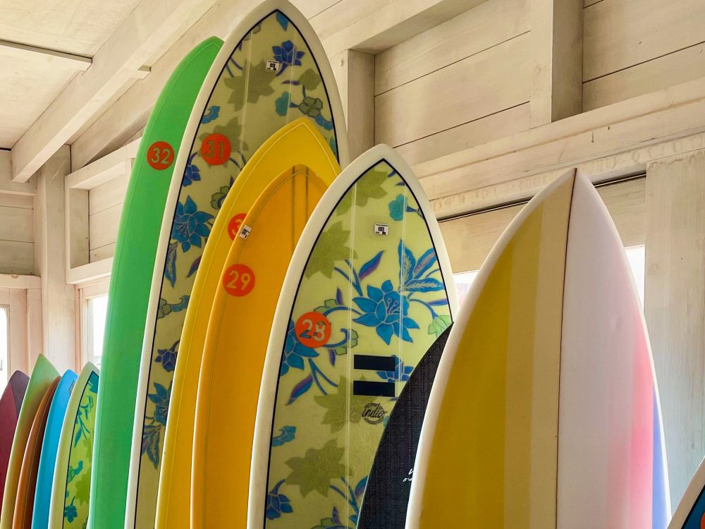 Surf’s up i Essaouira