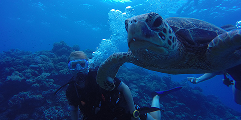 Great Barrier Reef